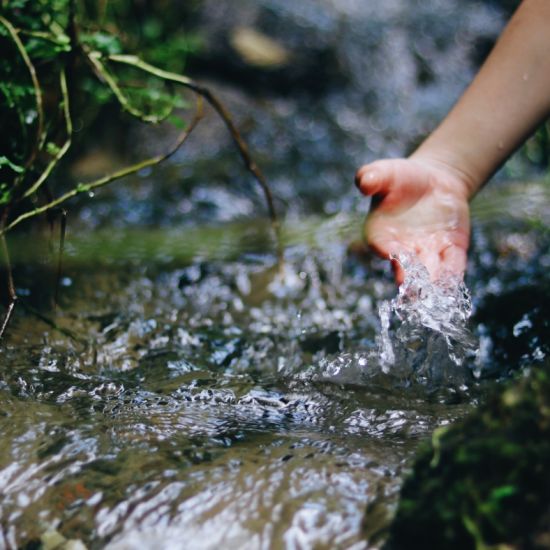 Wat is waterretentie en hoe helpt het uw tuin?