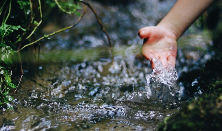 Wat is waterretentie en hoe helpt het uw tuin?